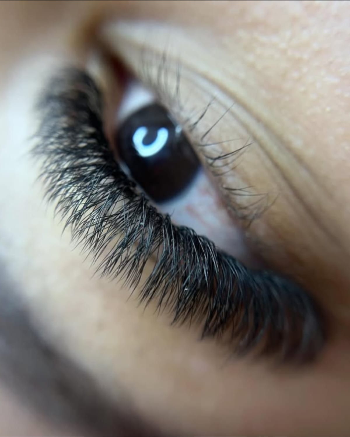 Volume Inglês 5D — Cinco fios ultrafinos por cílio natural. A maior densidade da casa, ainda dentro do peso que o fio sustenta.